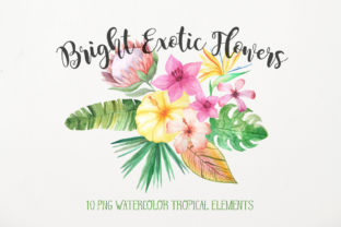 Explore the Versatility of the Watercolor Exotic Flowers Mini Set