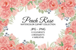 Peach Rose Flower Watercolor Clipart Set: A Comprehensive Guide for Creative Projects