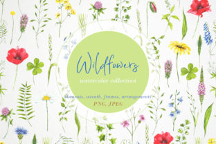 Watercolor Clipart Wildflowers, Plants: A Versatile Artistic Resource